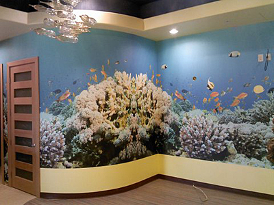 Tacoma, Gig Harbor, Seattle area wallcovering, wallpaper, and mural installation.